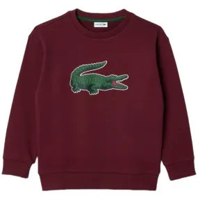 Kids Lacoste Signature Print Sweatshirt (Bordeaux) SJ1231-51